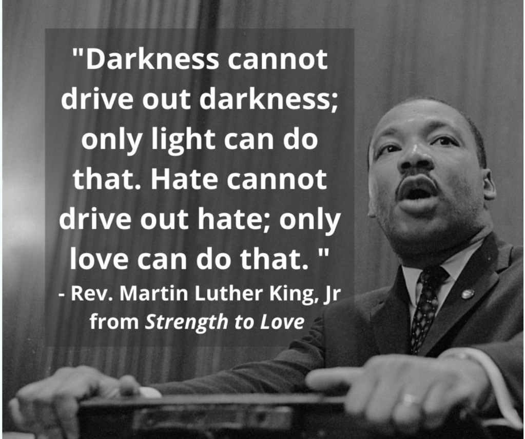 Martin Luther King Darkness cannot drive quote